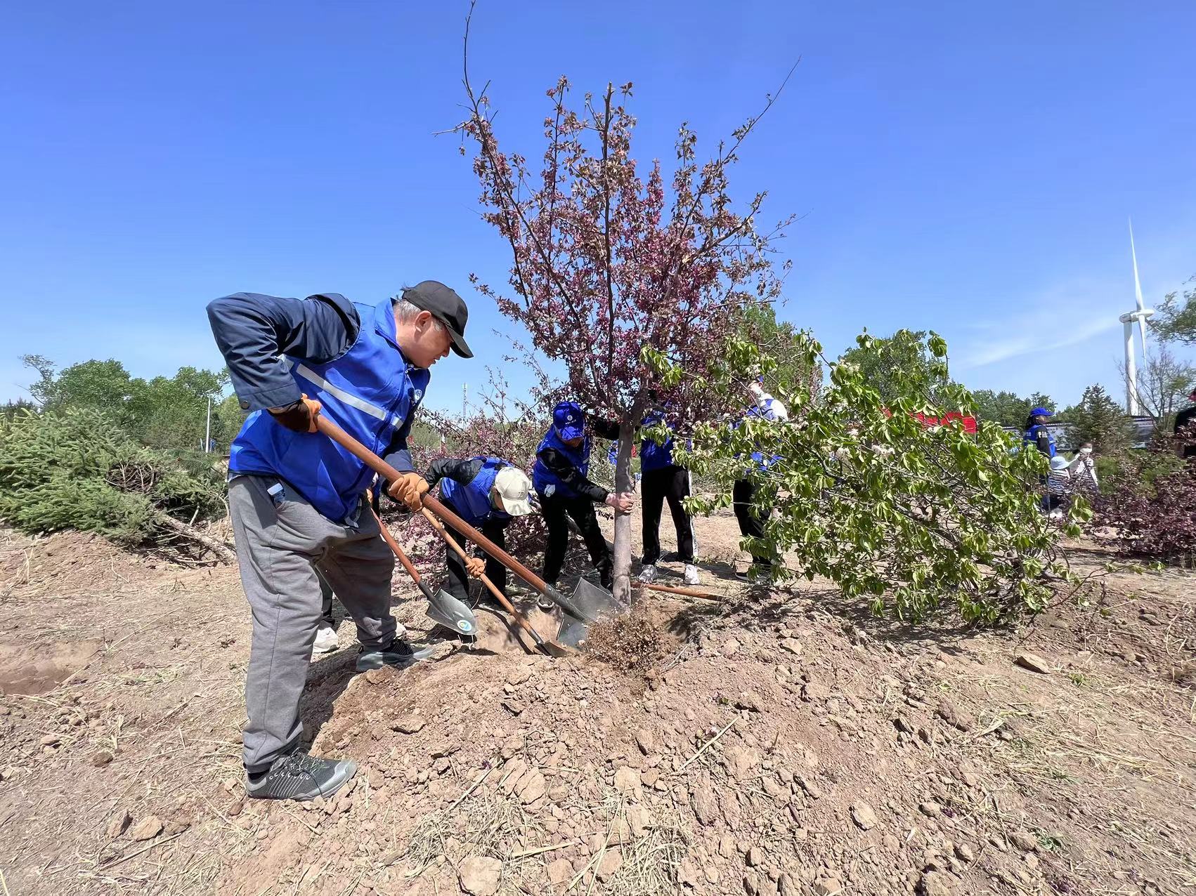 “保護(hù)北京母親河 共建首都水源地”義務(wù)植樹活動在懷來官廳水庫國家濕地公園舉行 “保護(hù)北京母親河 共建首都水源地”義務(wù)植樹活動在懷來官廳水庫國家濕地公園舉行
