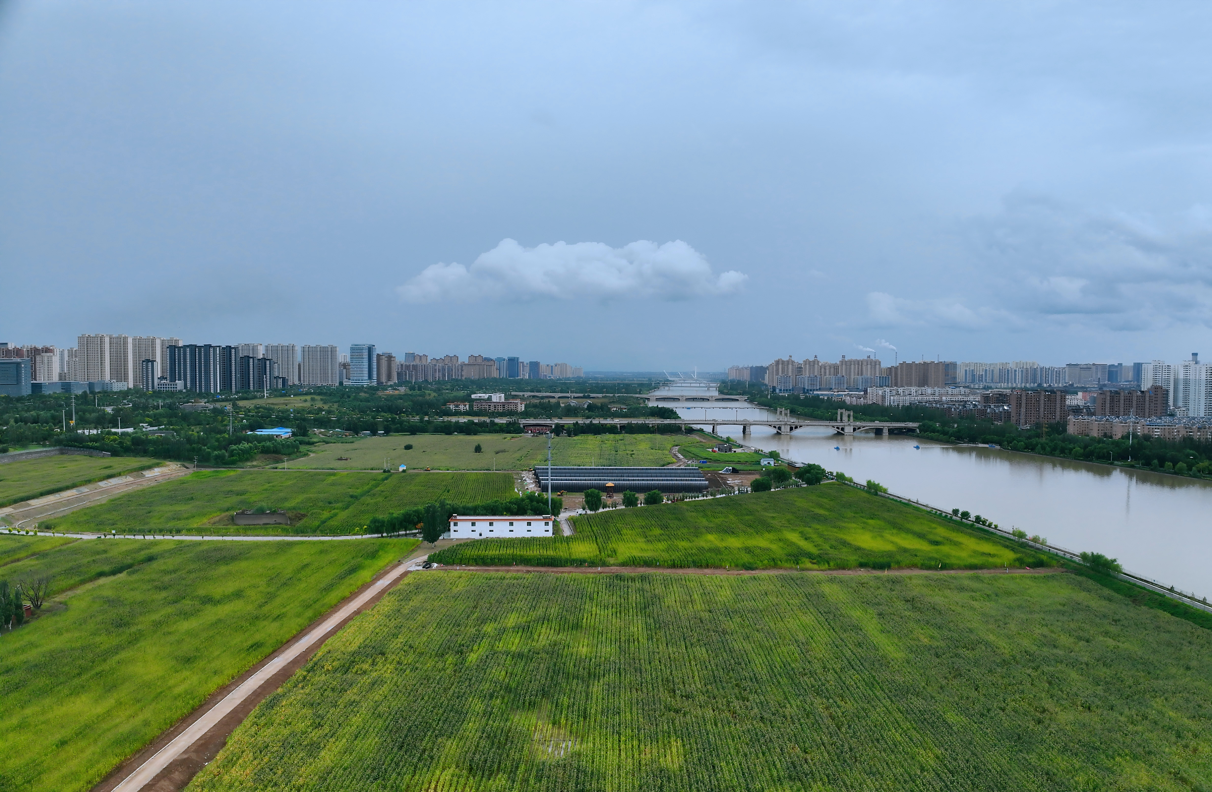 科技添彩生態(tài)田 永定河畔慶豐收——永定三生·農(nóng)谷繪就秋分豐收?qǐng)D景